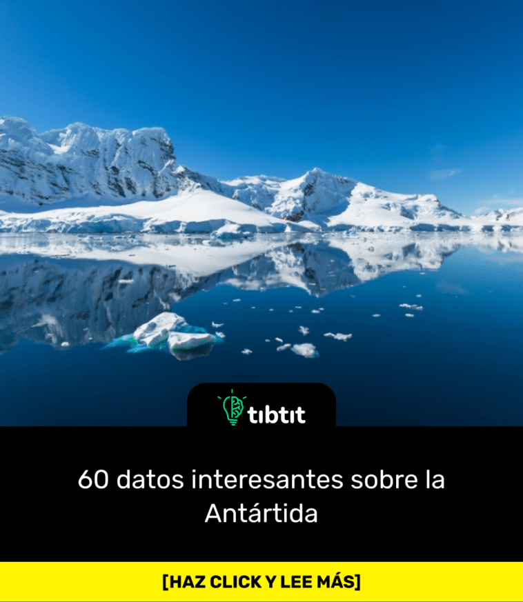 60 datos interesantes sobre la Antártida