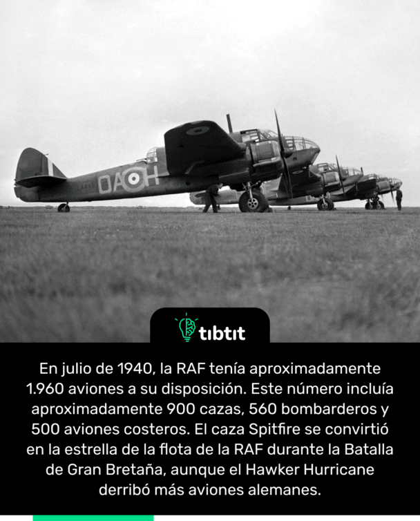 En julio de 1940, la RAF tenía aproximadamente 1.960 aviones a su disposición. Este número incluía aproximadamente 900 cazas, 560 bombarderos y 500 aviones costeros. El caza Spitfire se convirtió en la estrella de la flota de la RAF durante la Batalla de Gran Bretaña, aunque el Hawker Hurricane derribó más aviones alemanes.