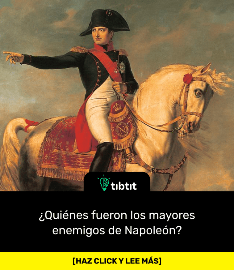 ¿Quiénes fueron los mayores enemigos de Napoleón?