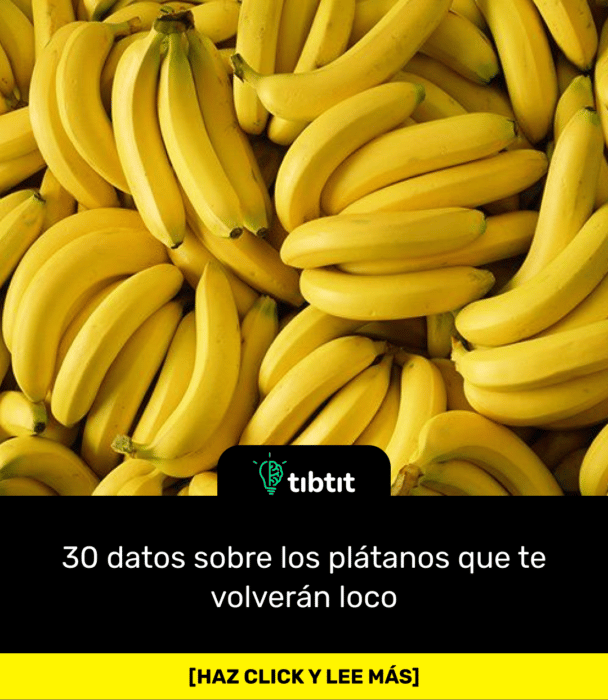 30 datos sobre los plátanos que te volverán loco