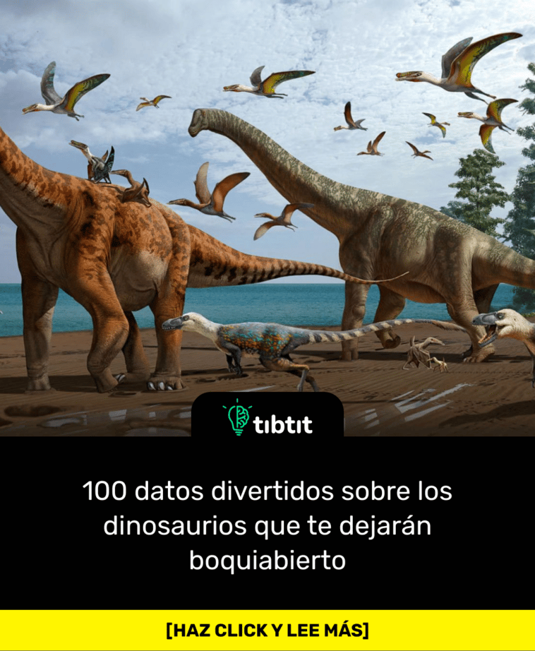 100 datos divertidos sobre los dinosaurios que te dejarán boquiabierto