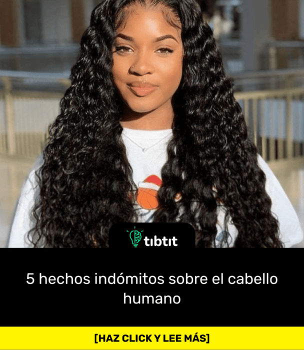 5 hechos indómitos sobre el cabello humano
