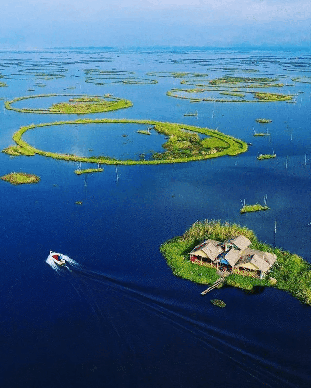 Parque Nacional Lamjao en Manipur, India
