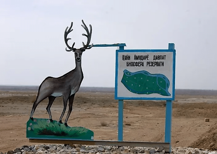 Entrada a la Reserva de la Biosfera Estatal del Bajo Amu-Darya en Uzbekistán. Crédito de la imagen: Programa de las Naciones Unidas para el Desarrollo/Flickr.
