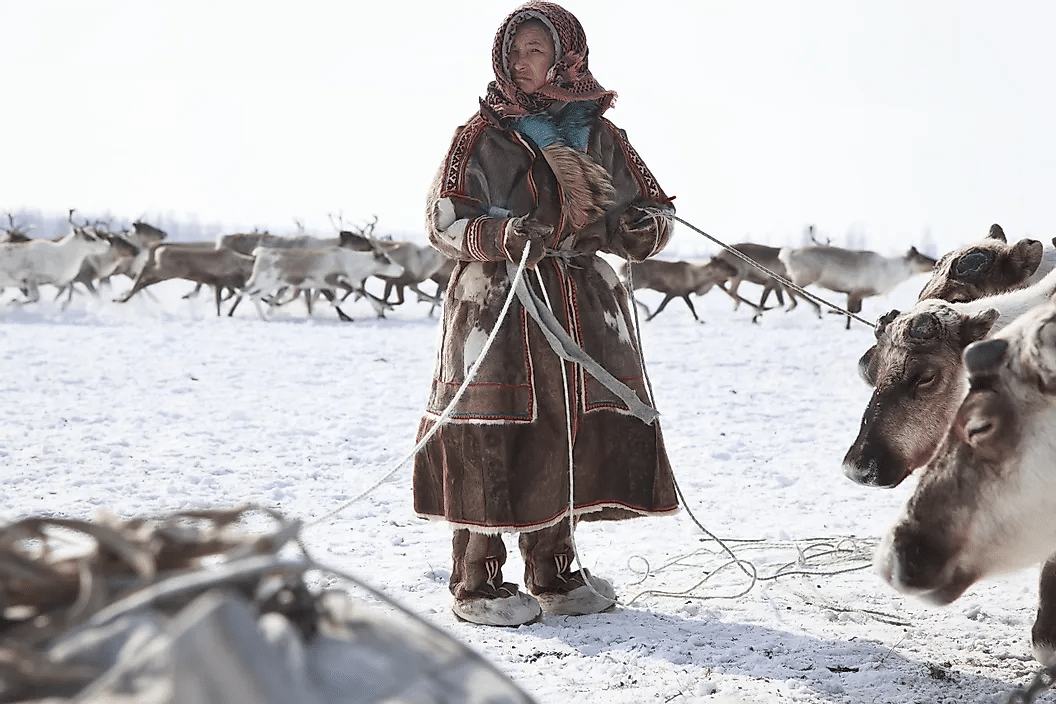 Mujer de una comunidad indígena que cría renos en la región ártica de Rusia.