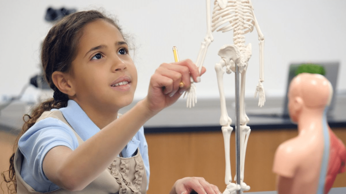 Con los materiales educativos adecuados, los niños pueden aprender con bastante rapidez. (Crédito de la imagen: SDI Productions a través de Getty Images)