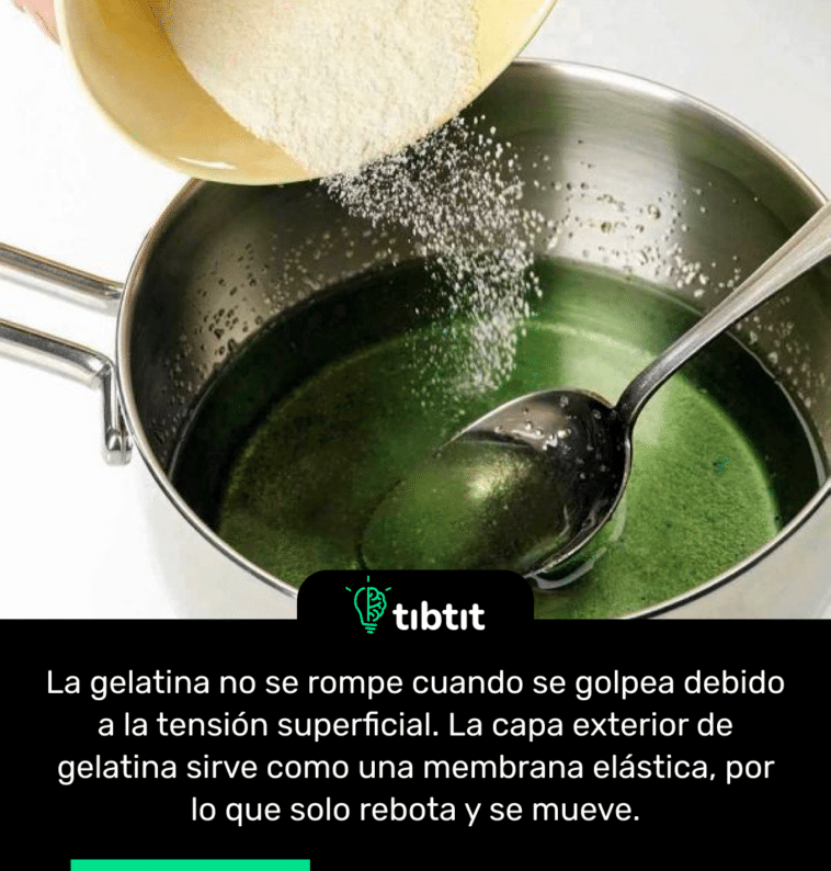 La gelatina no se rompe cuando se golpea debido a la tensión superficial. La capa exterior de gelatina sirve como una membrana elástica, por lo que solo rebota y se mueve.