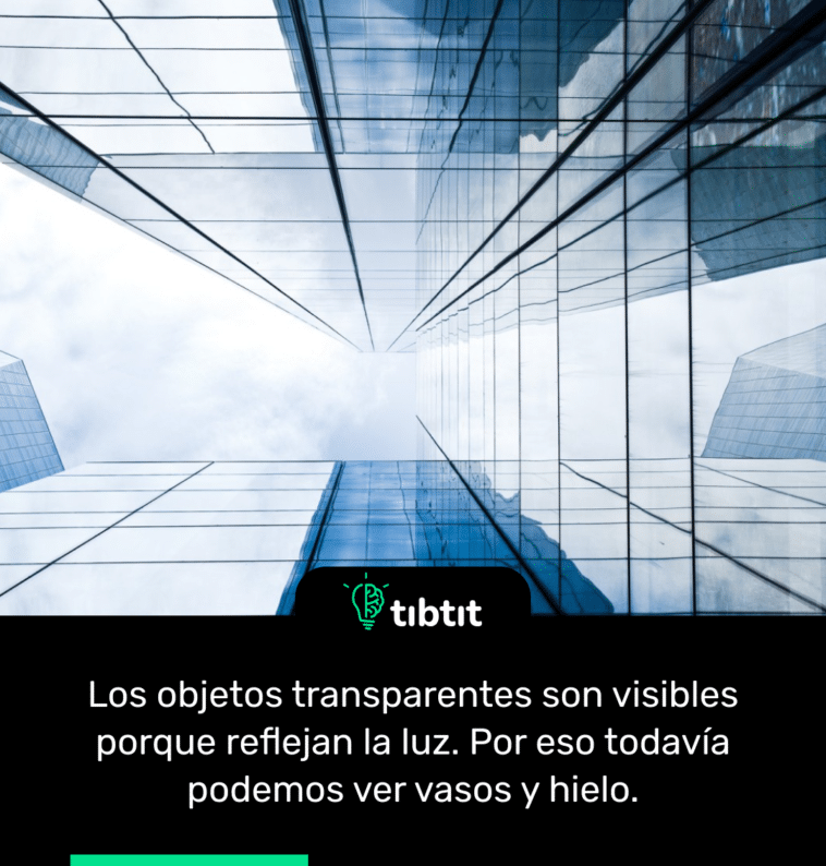 Los objetos transparentes son visibles porque reflejan la luz. Por eso todavía podemos ver vasos y hielo.