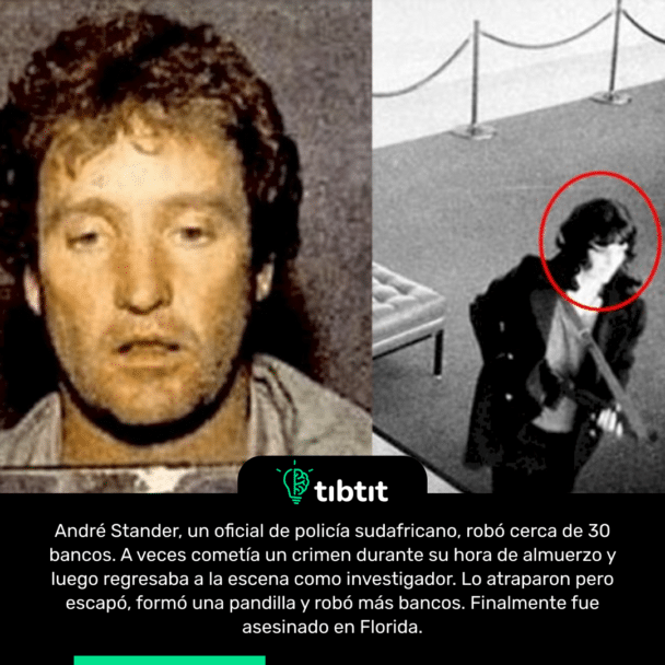 André Stander, un oficial de policía sudafricano, robó cerca de 30 bancos. A veces cometía un crimen durante su hora de almuerzo y luego regresaba a la escena como investigador. Lo atraparon pero escapó, formó una pandilla y robó más bancos. Finalmente fue asesinado en Florida.