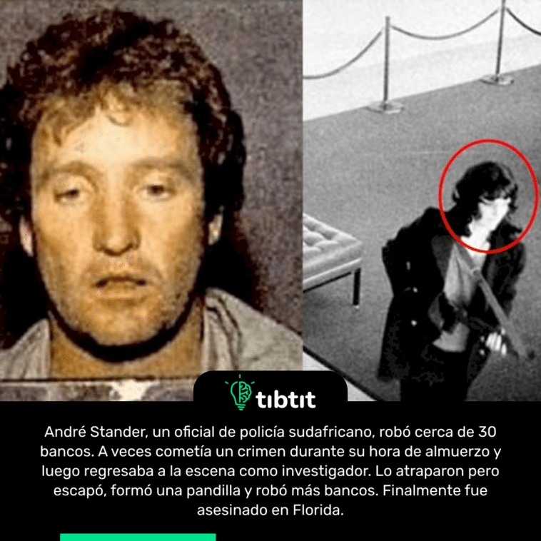 André Stander, un oficial de policía sudafricano, robó cerca de 30 bancos. A veces cometía un crimen durante su hora de almuerzo y luego regresaba a la escena como investigador. Lo atraparon pero escapó, formó una pandilla y robó más bancos. Finalmente fue asesinado en Florida.