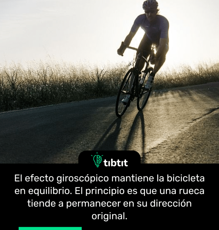 El efecto giroscópico mantiene la bicicleta en equilibrio. El principio es que una rueca tiende a permanecer en su dirección original.