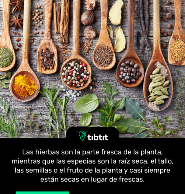 Las hierbas son la parte fresca de la planta, mientras que las especias son la raíz seca, el tallo, las semillas o el fruto de la planta y casi siempre están secas en lugar de frescas.