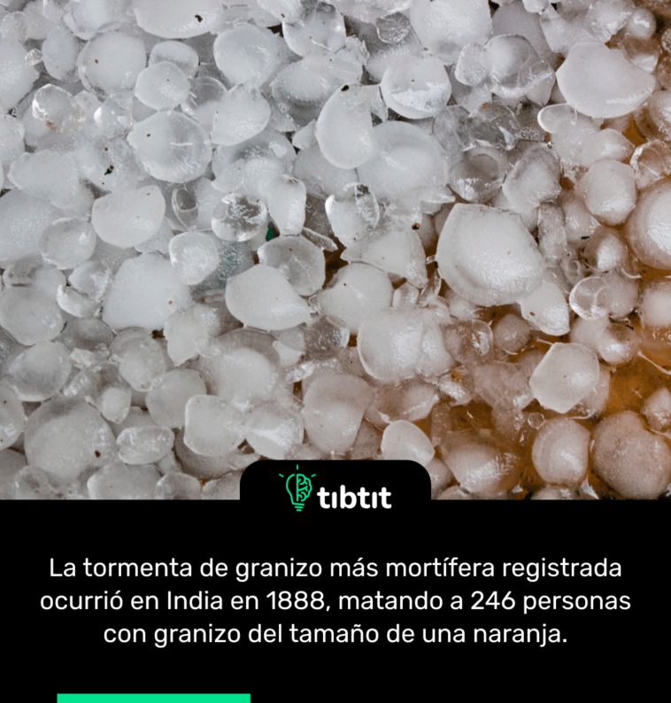 La tormenta de granizo más mortífera registrada ocurrió en India en 1888, matando a 246 personas con granizo del tamaño de una naranja.