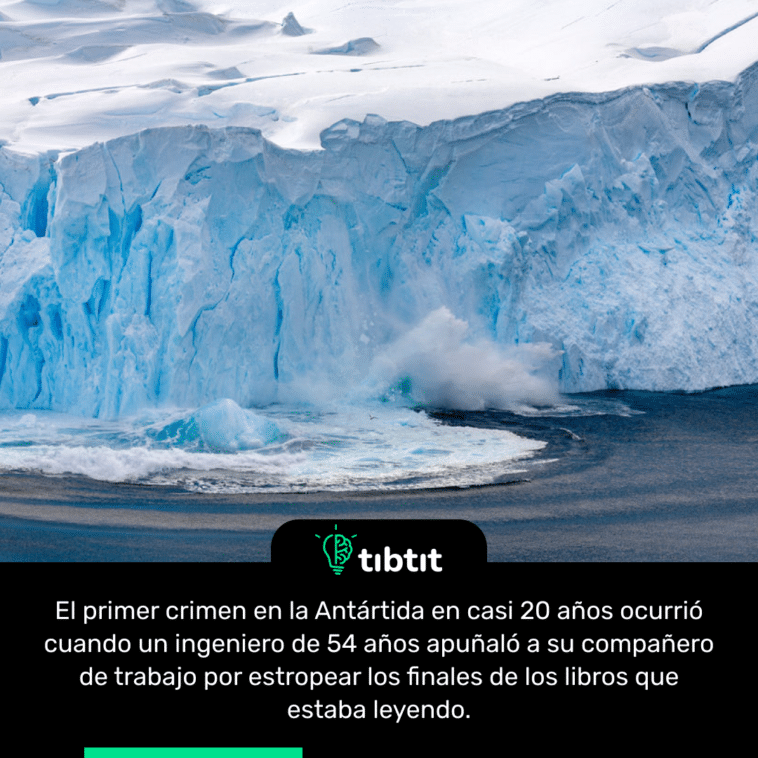 El primer crimen en la Antártida en casi 20 años ocurrió cuando un ingeniero de 54 años apuñaló a su compañero de trabajo por estropear los finales de los libros que estaba leyendo.