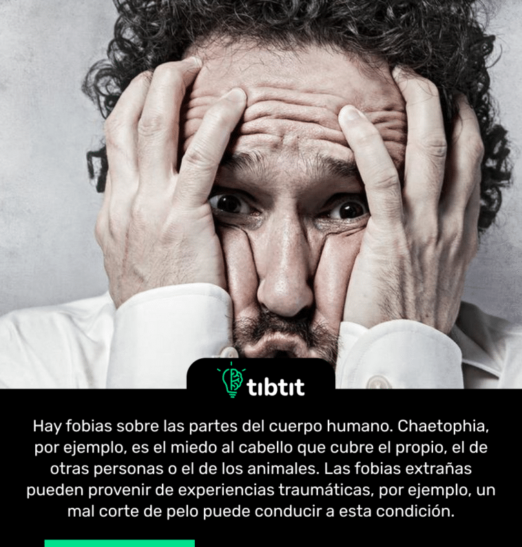 Hay fobias sobre las partes del cuerpo humano. Chaetophia, por ejemplo, es el miedo al cabello que cubre el propio, el de otras personas o el de los animales. Las fobias extrañas pueden provenir de experiencias traumáticas, por ejemplo, un mal corte de pelo puede conducir a esta condición.