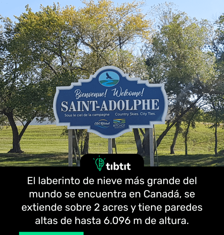 El laberinto de nieve más grande del mundo se encuentra en Canadá, se extiende sobre 2 acres y tiene paredes altas de hasta 6.096 m de altura.