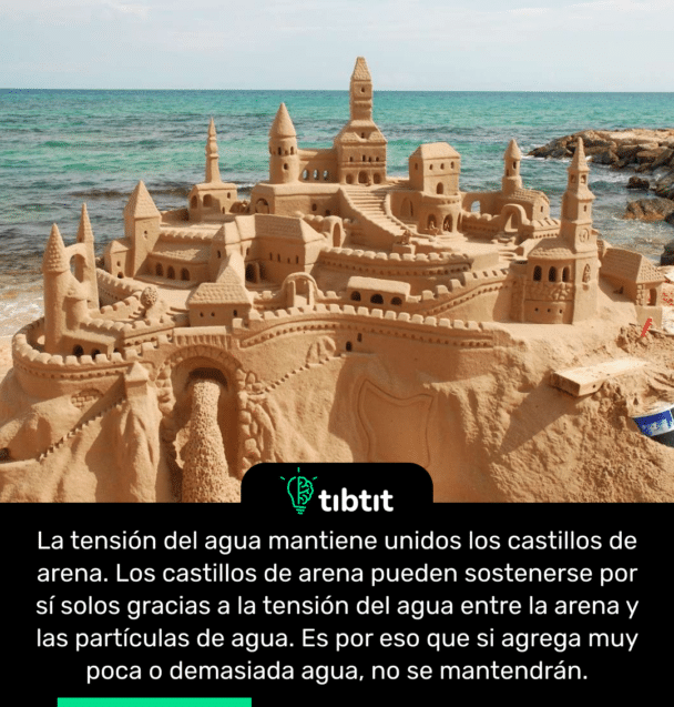 La tensión del agua mantiene unidos los castillos de arena. Los castillos de arena pueden sostenerse por sí solos gracias a la tensión del agua entre la arena y las partículas de agua. Es por eso que si agrega muy poca o demasiada agua, no se mantendrán.