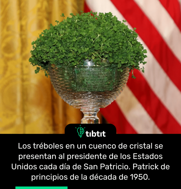Los tréboles en un cuenco de cristal se presentan al presidente de los Estados Unidos cada día de San Patricio. Patrick de principios de la década de 1950.
