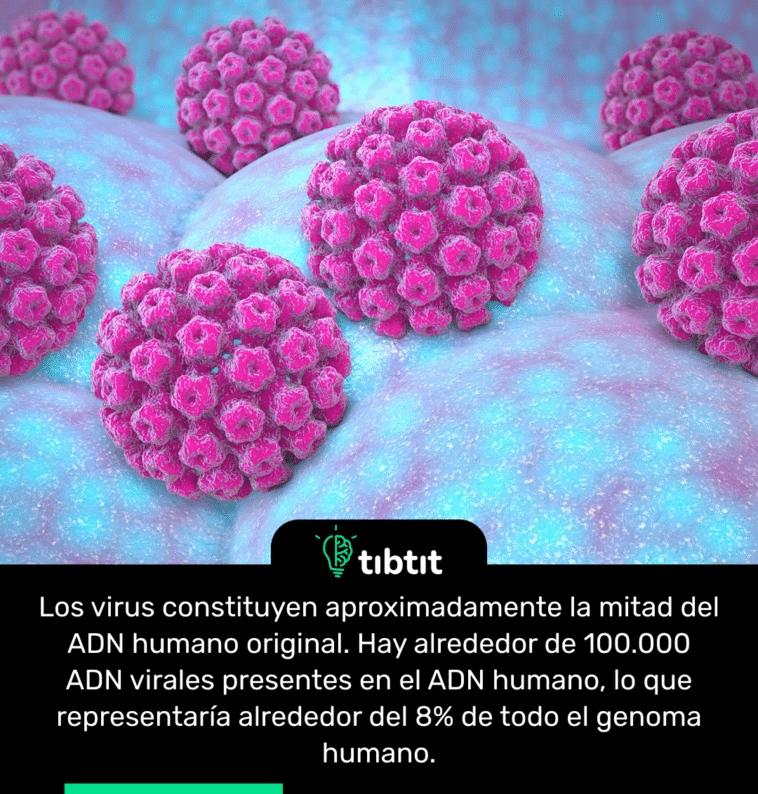 Los virus constituyen aproximadamente la mitad del ADN humano original. Hay alrededor de 100.000 ADN virales presentes en el ADN humano, lo que representaría alrededor del 8% de todo el genoma humano.