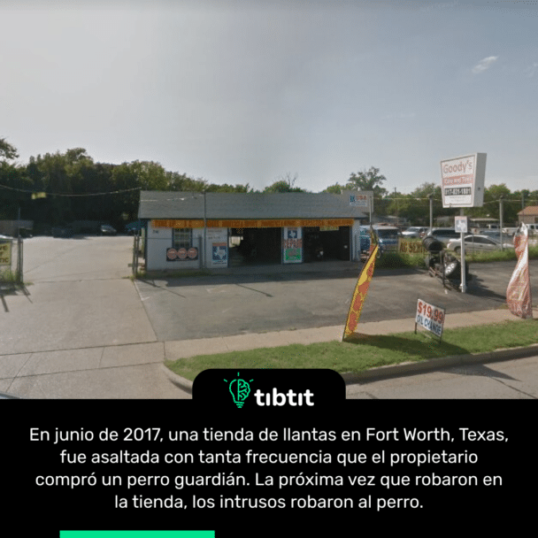 En junio de 2017, una tienda de llantas en Fort Worth, Texas, fue asaltada con tanta frecuencia que el propietario compró un perro guardián. La próxima vez que robaron en la tienda, los intrusos robaron al perro.