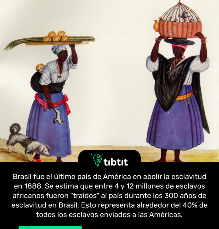 Brasil fue el último país de América en abolir la esclavitud en 1888. Se estima que entre 4 y 12 millones de esclavos africanos fueron "traídos" al país durante los 300 años de esclavitud en Brasil. Esto representa alrededor del 40% de todos los esclavos enviados a las Américas.