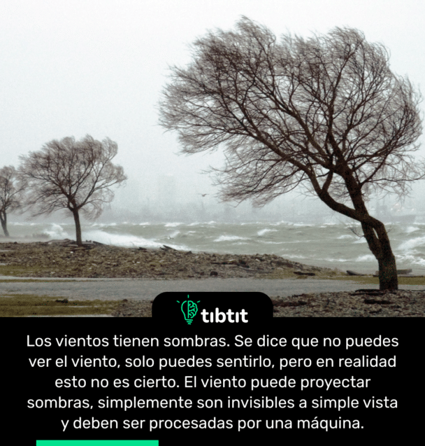 Los vientos tienen sombras. Se dice que no puedes ver el viento, solo puedes sentirlo, pero en realidad esto no es cierto. El viento puede proyectar sombras, simplemente son invisibles a simple vista y deben ser procesadas por una máquina.