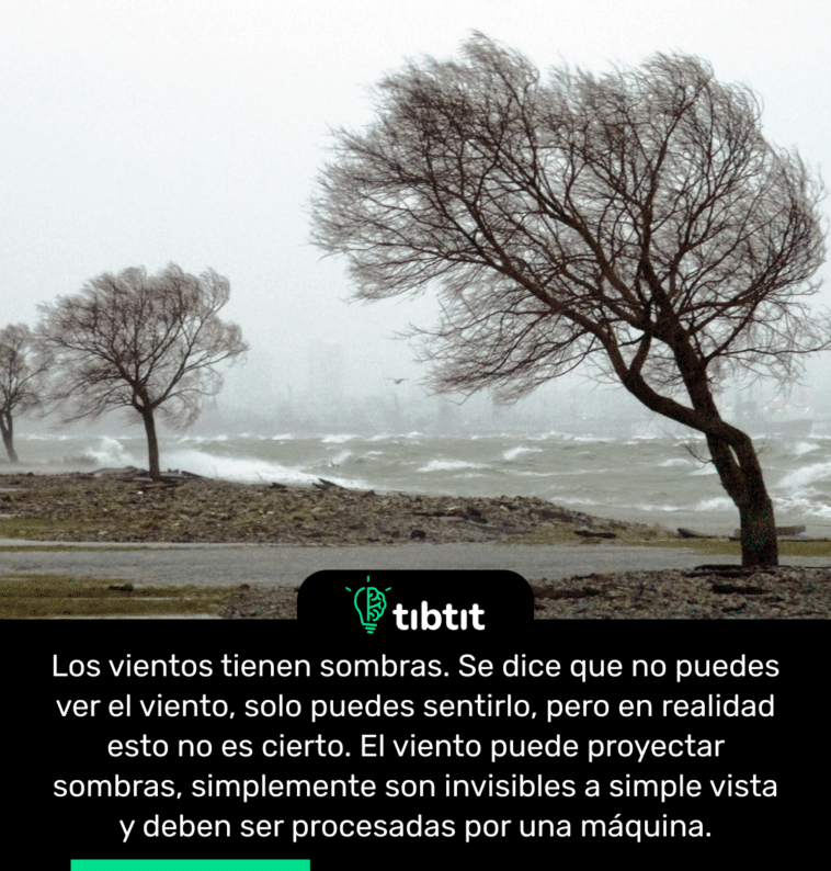 Los vientos tienen sombras. Se dice que no puedes ver el viento, solo puedes sentirlo, pero en realidad esto no es cierto. El viento puede proyectar sombras, simplemente son invisibles a simple vista y deben ser procesadas por una máquina.
