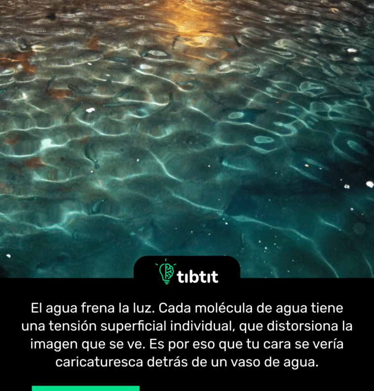 El agua frena la luz. Cada molécula de agua tiene una tensión superficial individual, que distorsiona la imagen que se ve. Es por eso que tu cara se vería caricaturesca detrás de un vaso de agua.