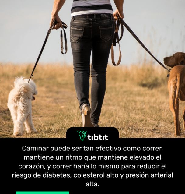 Caminar puede ser tan efectivo como correr, mantiene un ritmo que mantiene elevado el corazón, y correr haría lo mismo para reducir el riesgo de diabetes, colesterol alto y presión arterial alta.
