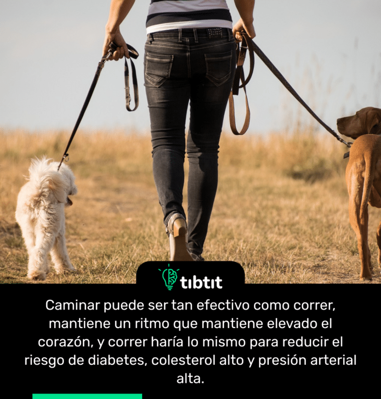 Caminar puede ser tan efectivo como correr, mantiene un ritmo que mantiene elevado el corazón, y correr haría lo mismo para reducir el riesgo de diabetes, colesterol alto y presión arterial alta.