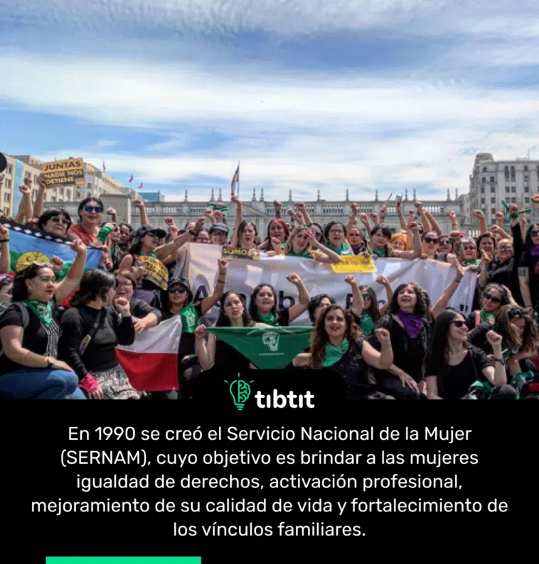 En 1990 se creó el Servicio Nacional de la Mujer (SERNAM), cuyo objetivo es brindar a las mujeres igualdad de derechos, activación profesional, mejoramiento de su calidad de vida y fortalecimiento de los vínculos familiares.