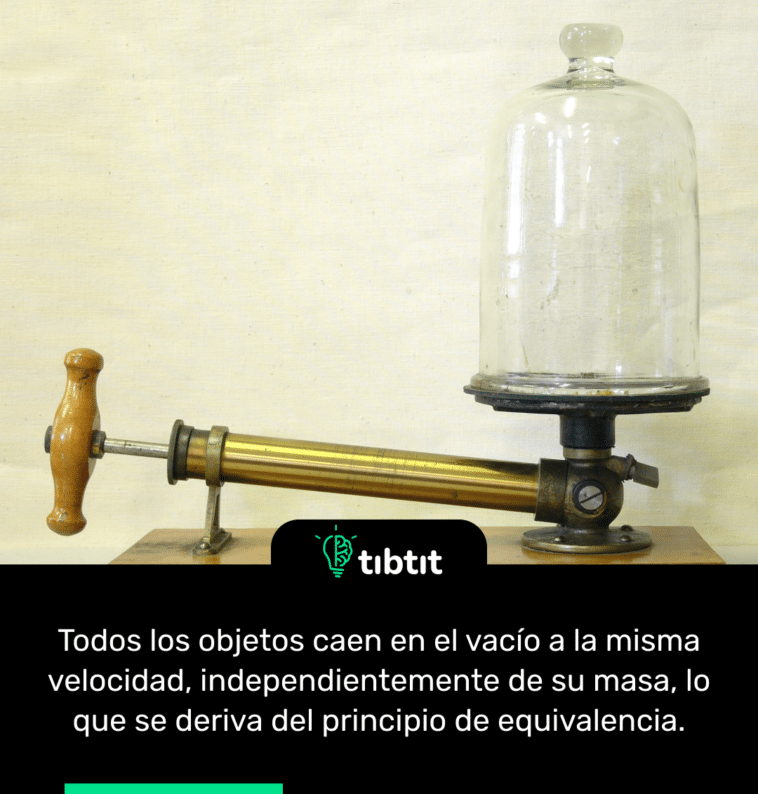 Todos los objetos caen en el vacío a la misma velocidad, independientemente de su masa, lo que se deriva del principio de equivalencia.