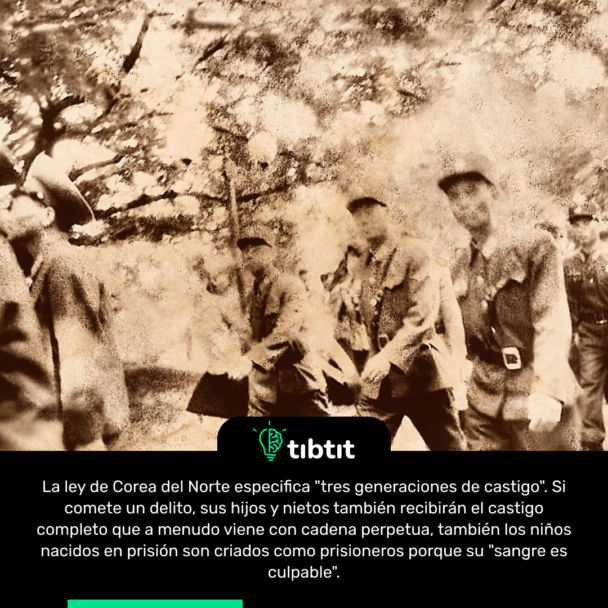 La ley de Corea del Norte especifica "tres generaciones de castigo". Si comete un delito, sus hijos y nietos también recibirán el castigo completo que a menudo viene con cadena perpetua, también los niños nacidos en prisión son criados como prisioneros porque su "sangre es culpable".