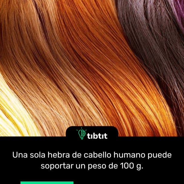 Una sola hebra de cabello humano puede soportar un peso de 100 g.