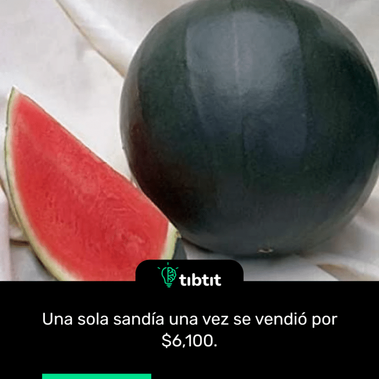 Una sola sandía una vez se vendió por $6,100.