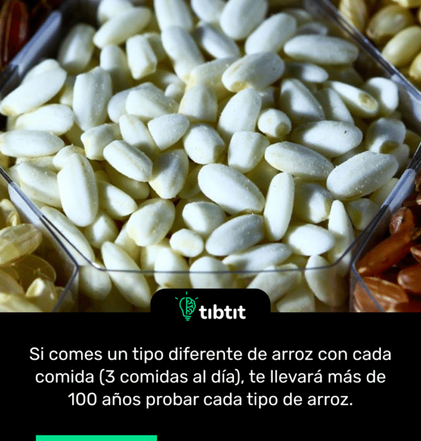 Si comes un tipo diferente de arroz con cada comida (3 comidas al día), te llevará más de 100 años probar cada tipo de arroz.