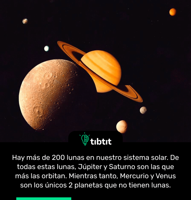 Hay más de 200 lunas en nuestro sistema solar. De todas estas lunas, Júpiter y Saturno son las que más las orbitan. Mientras tanto, Mercurio y Venus son los únicos 2 planetas que no tienen lunas.