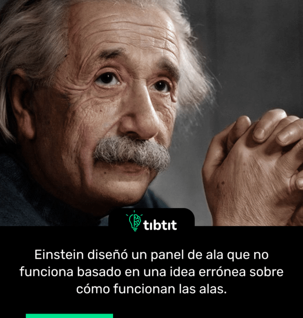 Einstein diseñó un panel de ala que no funciona basado en una idea errónea sobre cómo funcionan las alas.