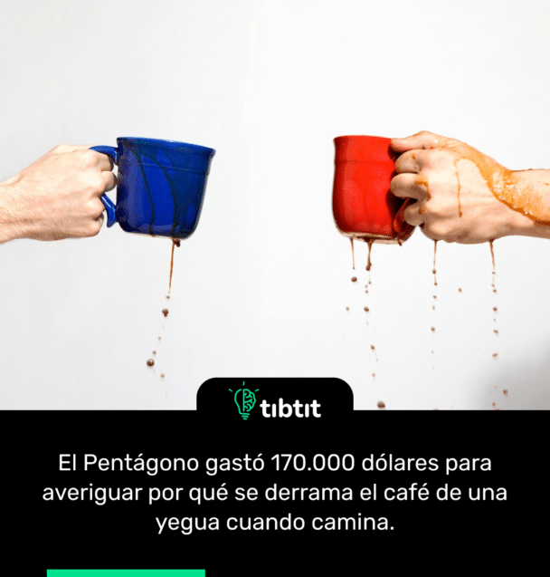 El Pentágono gastó 170.000 dólares para averiguar por qué se derrama el café de una yegua cuando camina.