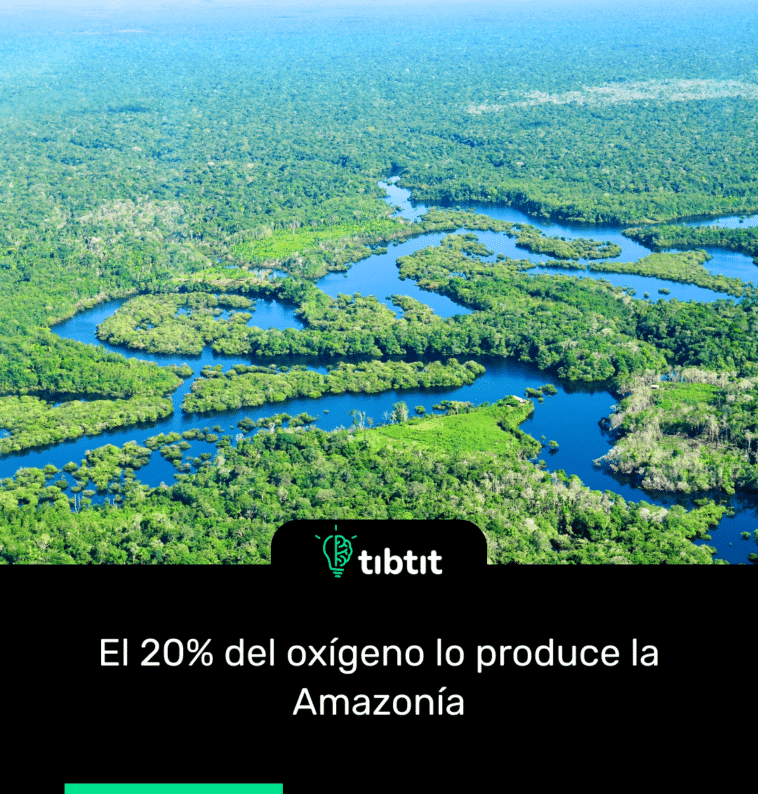 El 20% del oxígeno lo produce la Amazonía