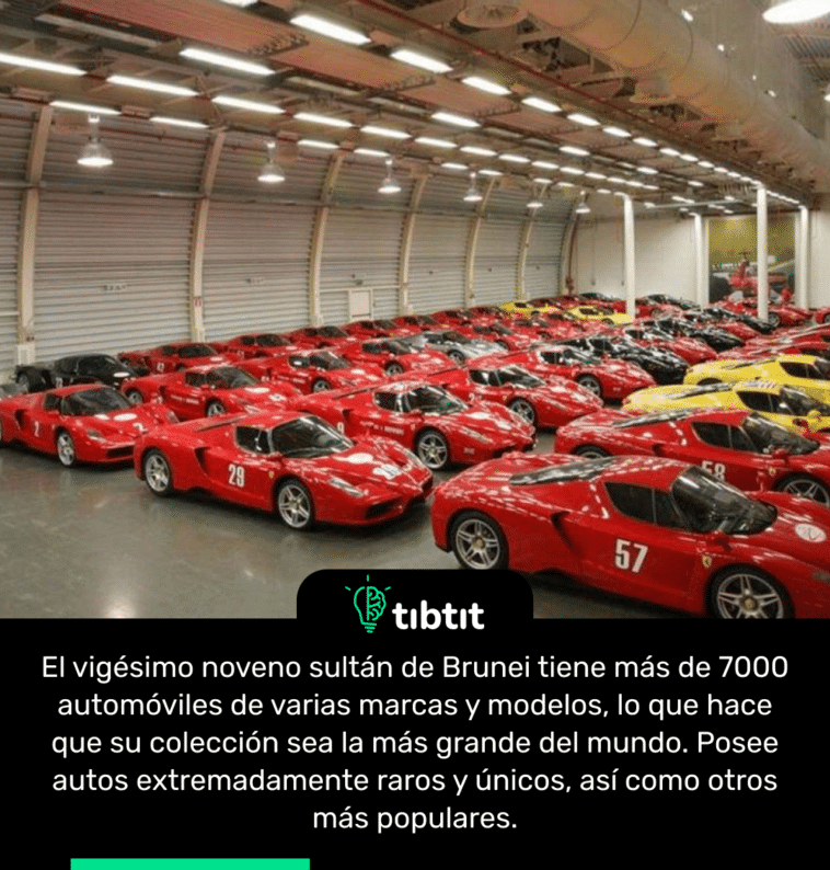 El vigésimo noveno sultán de Brunei tiene más de 7000 automóviles de varias marcas y modelos, lo que hace que su colección sea la más grande del mundo. Posee autos extremadamente raros y únicos, así como otros más populares.