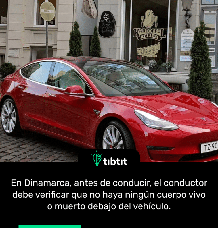 En Dinamarca, antes de conducir, el conductor debe verificar que no haya ningún cuerpo vivo o muerto debajo del vehículo.
