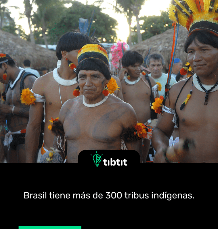 Brasil tiene más de 300 tribus indígenas.