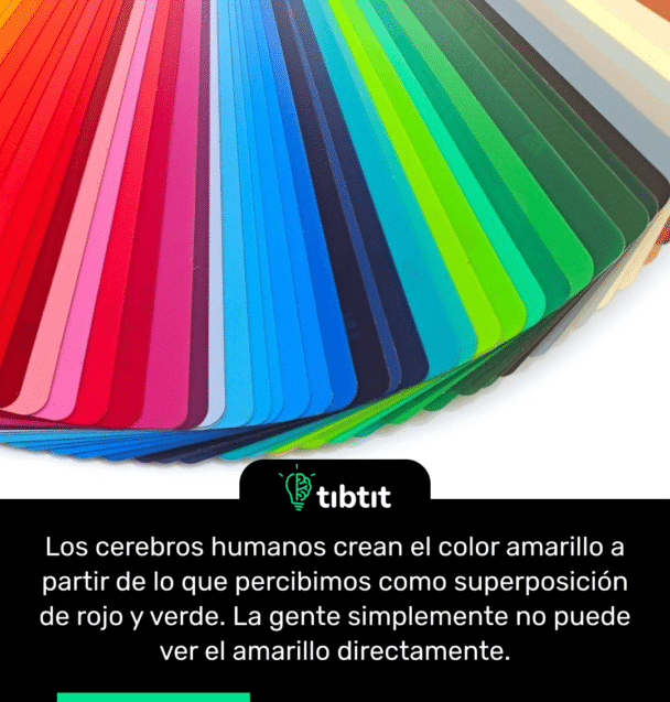 Los cerebros humanos crean el color amarillo a partir de lo que percibimos como superposición de rojo y verde. La gente simplemente no puede ver el amarillo directamente.