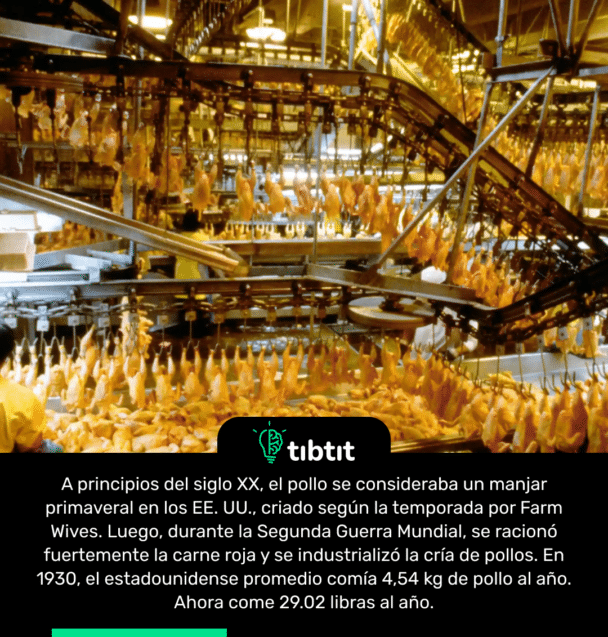 A principios del siglo XX, el pollo se consideraba un manjar primaveral en los EE. UU., criado según la temporada por Farm Wives. Luego, durante la Segunda Guerra Mundial, se racionó fuertemente la carne roja y se industrializó la cría de pollos. En 1930, el estadounidense promedio comía 4,54 kg de pollo al año. Ahora come 29.02 libras al año.