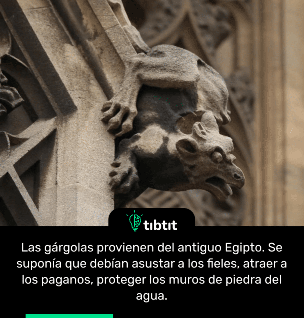 Las gárgolas provienen del antiguo Egipto. Se suponía que debían asustar a los fieles, atraer a los paganos, proteger los muros de piedra del agua