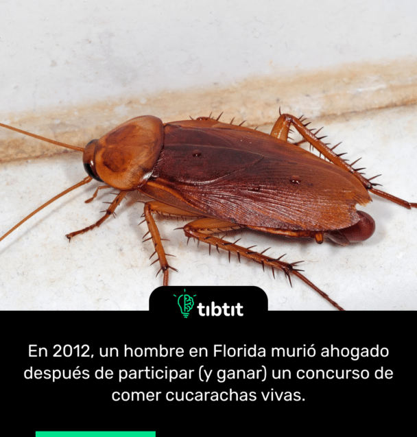 En 2012, un hombre en Florida murió ahogado después de participar (y ganar) un concurso de comer cucarachas vivas.