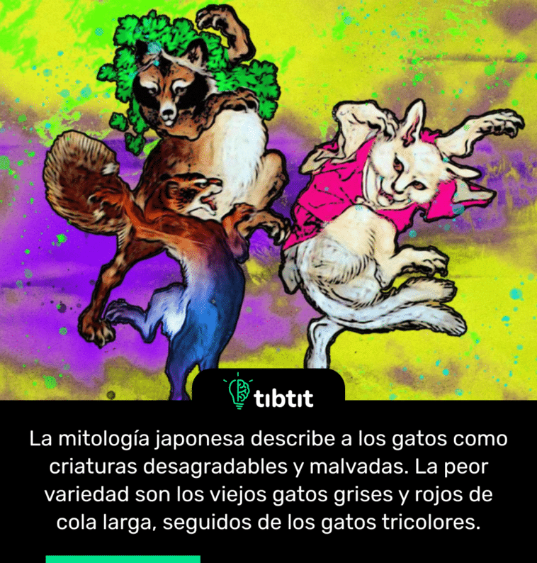 La mitología japonesa describe a los gatos como criaturas desagradables y malvadas. La peor variedad son los viejos gatos grises y rojos de cola larga, seguidos de los gatos tricolores.