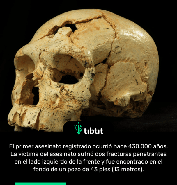 El primer asesinato registrado ocurrió hace 430.000 años. La víctima del asesinato sufrió dos fracturas penetrantes en el lado izquierdo de la frente y fue encontrado en el fondo de un pozo de 43 pies (13 metros).