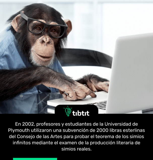 En 2002, profesores y estudiantes de la Universidad de Plymouth utilizaron una subvención de 2000 libras esterlinas del Consejo de las Artes para probar el teorema de los simios infinitos mediante el examen de la producción literaria de simios reales.